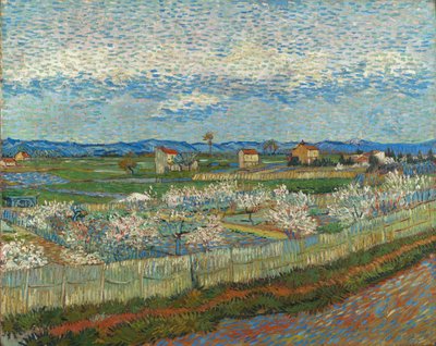 Peach Trees in Blossom by Vincent van Gogh